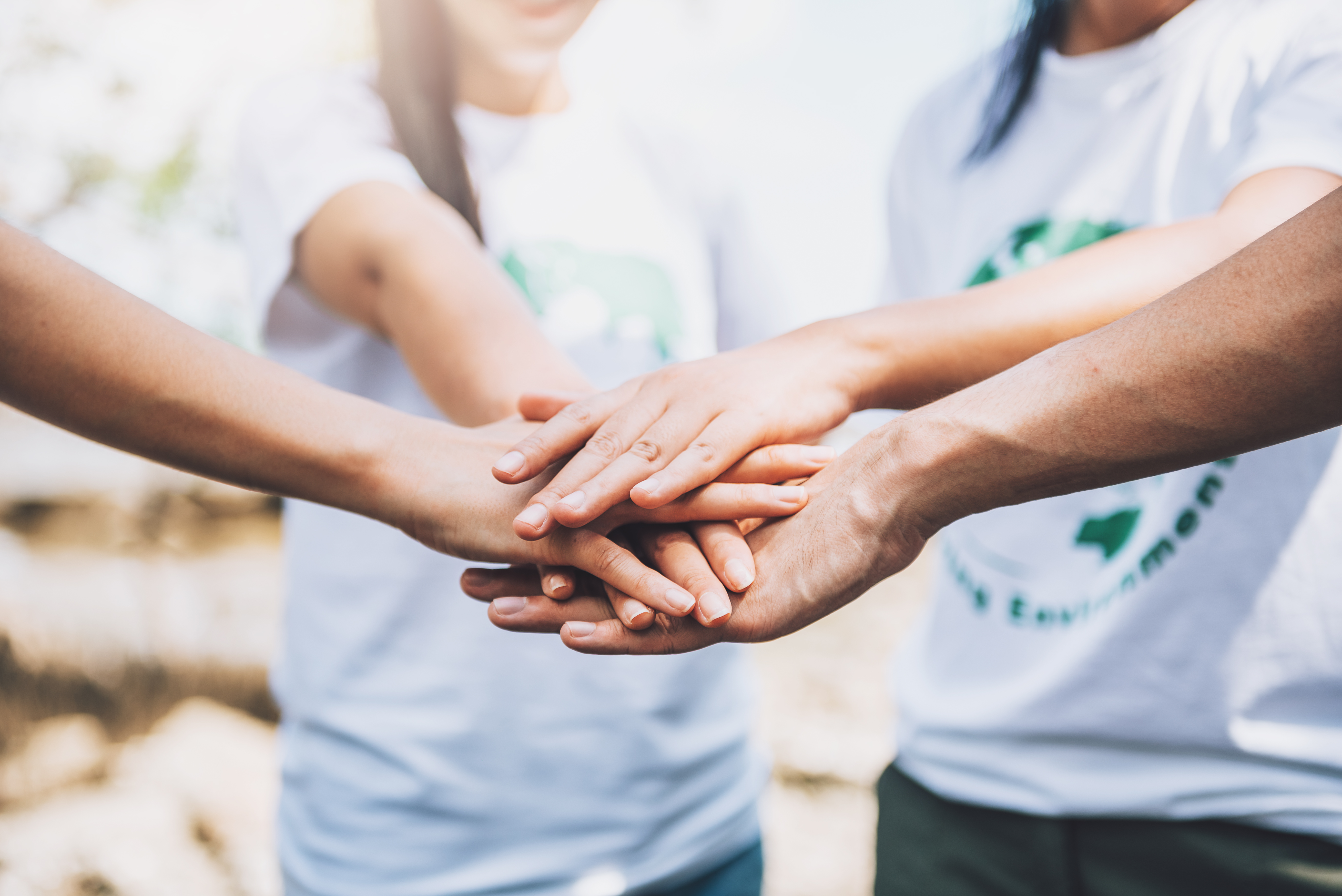 Voluntários do Instituto Ambient em atividade social ou ambiental